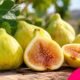 What Is Byadi? Everything About This Sweet Middle Eastern Fig