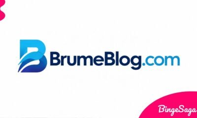 BrumeBlog.com: Exploring a Growing Digital Content Hub