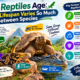 How Reptiles Age