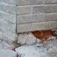 Cracked Foundations
