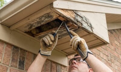 Soffit Repair Guide: How to Address Rot, Cracks, Holes and Ventilation Problems