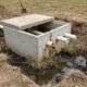 Why a Failing Distribution Box Could Be Sabotaging Your Septic System