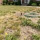 Why Your Woodlands Lawn Deserves Professional Fertilization This Season