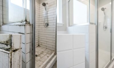 Mold Taking Over Your Home? Here's How to Take It Back