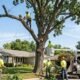 Tree Maintenance: Essential Practices for Healthy, Safe, and Long-Lasting Trees