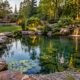 pond