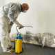 Mold Removal