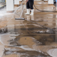 water damage cleanup