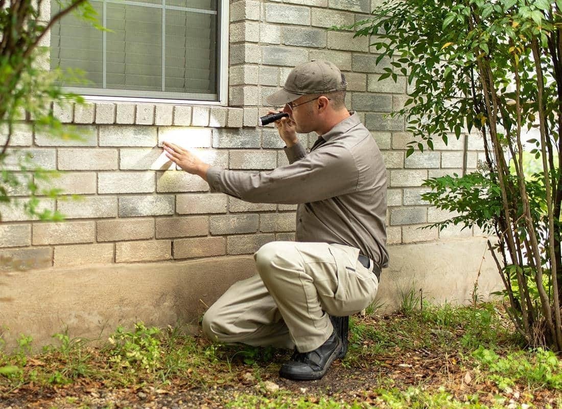 How Do Landscaping and Yard Maintenance Affect Pest Problems Inside San Antonio Homes?