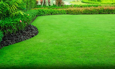 lawn maintenance