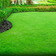 lawn maintenance