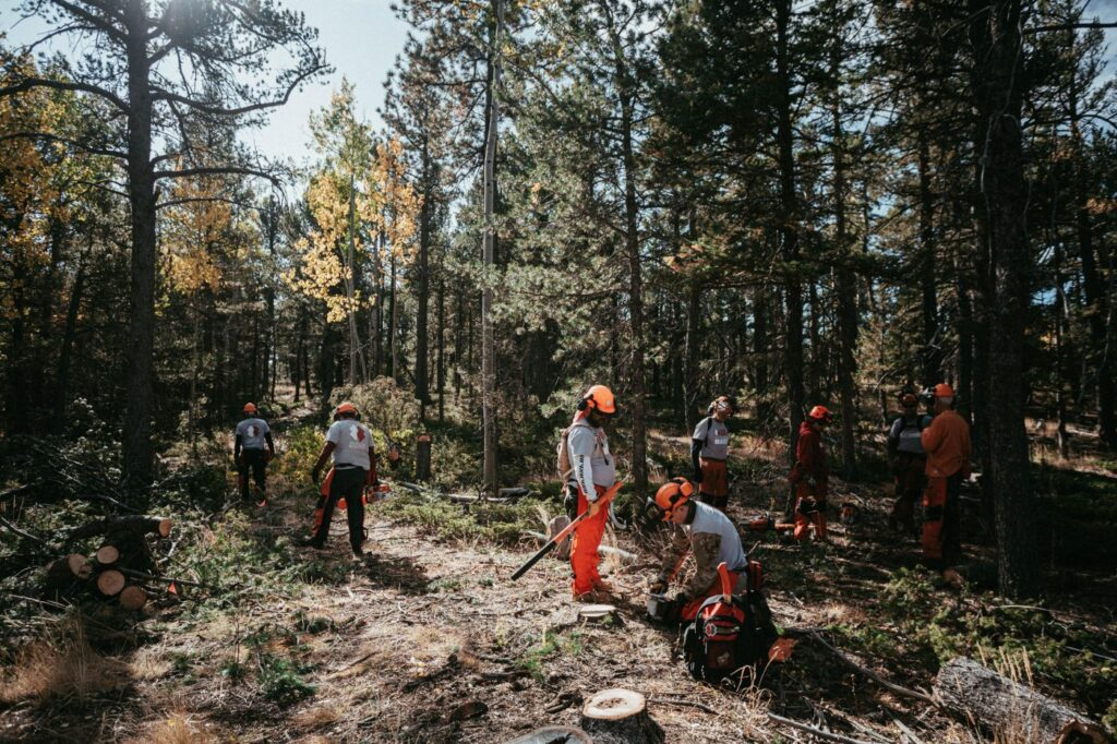 Fire mitigation
