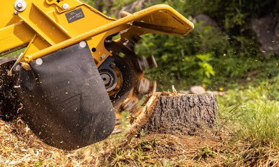 Stump grinding
