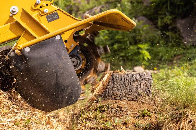 Stump grinding