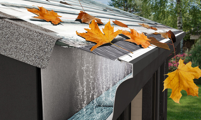 Gutter guards
