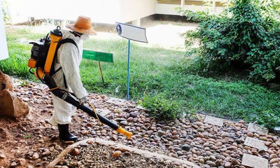 mosquito control