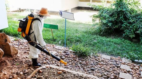 mosquito control