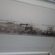 mold