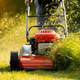 Lawn care