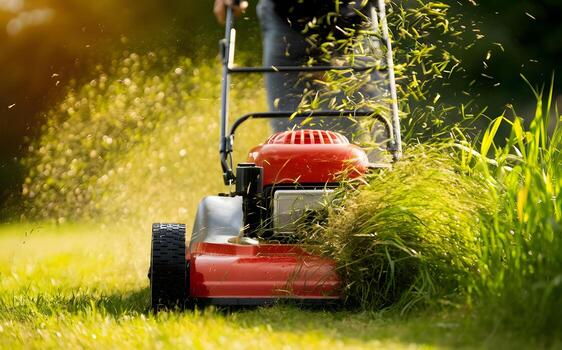 Lawn care