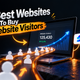Buy Website Visitors