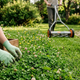 Environmentally Responsible Lawn Care