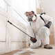 mold remediation