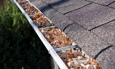 Gutter Guards