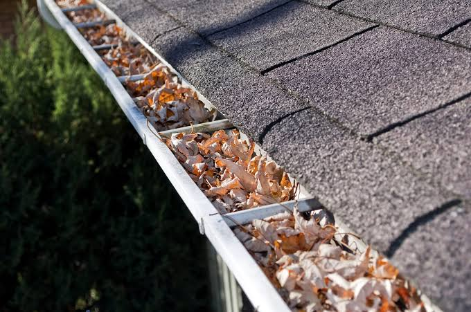 Gutter Guards