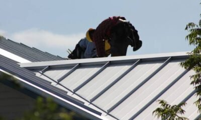 Alpine Roofing: Built to Protect, Designed to Last
