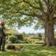 Arborist inspecting a mature oak tree in a residential garden